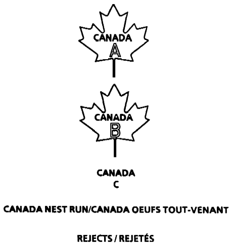 Outline of a maple leaf with the following text inside CANADA A. Outline of a maple leaf with the following text inside CANADA B. The text CANADA C with no outline. The text CANADA NEST RUN with no outline. The text REJECTS with no outline.
