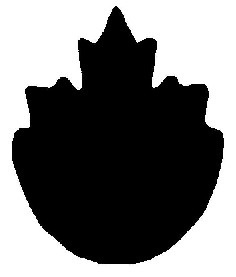 Signe de la marque nationale de sécurité composé de la moitié supérieure d’une feuille d’érable attachée à la moitié inférieure d’un cercle.